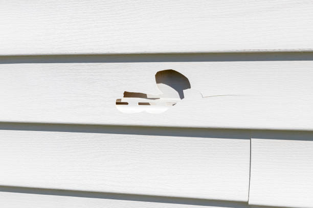 Best Shed Removal  in Ontonagon, MI